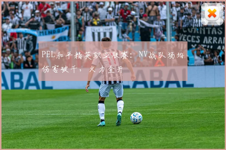 PEL和平精英职业联赛:NV战队场均伤害破千,火力全开