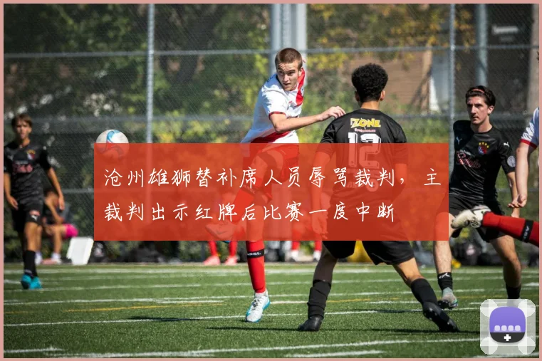 沧州雄狮替补席人员辱骂裁判，主裁判出示红牌后比赛一度中断